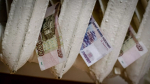В Башкирии резко подорожает всё