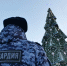 Росгвардцейцы задержали в Уфе 15-летнего угонщика автомобиля - Комсомольская правда