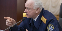 Почему в Башкирии не могут отловить волков в городе, заинтересовался Бастрыкин - Сетевое издание Республика Башкортостан