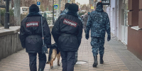 Дикие дети получат уголовку в Башкирию - Mkset.Ru