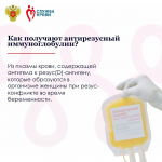 Станьте донором антирезусной плазмы — помогите мамам и их будущим малышам