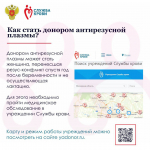 Станьте донором антирезусной плазмы — помогите мамам и их будущим малышам