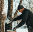 Нужно ли обновлять побелку деревьев в теплый февраль? - Mkset.Ru