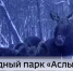 В Башкирии на территории природного парка “Аслы-Куль” запечатлели четырех лосей, которые пришли на подкормочную площадку | ГТРК «Башкортостан» - ГТРК Башкортостан