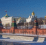Владимир Путин поздравил Радия Хабирова с Днем защитника Отечества - Башинформ
