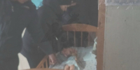 В Благовещенске заключена под стражу мать, убившая своего ребенка - Следственный комитет