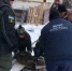 В Салавате спасатели поймали в городе дикого кабана - ProUral.Info