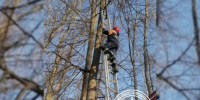 high-res-image - 2025-03-17T123013.073 - News102.Ru