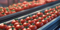 Инвесторам Башкирии предложили производить консервированную продукцию - Сетевое издание Республика Башкортостан