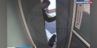 Житель Уфы жестоко избил свою собаку и попал на видео | ГТРК «Башкортостан» - ГТРК Башкортостан