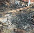 f5dfa437-6df1-4856-b516-f50e7517c9f2 - News102.Ru