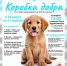 high-res-image - 2025-04-04T113727.009 - News102.Ru