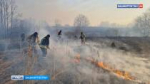 Пять природных пожаров произошло в Башкортостане за минувшие сутки | ГТРК «Башкортостан»