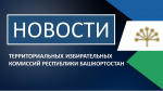 В Башкирии прошли дополнительные выборы