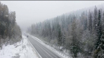 Синоптики объяснили, почему в Башкортостане резко похолодало | ГТРК «Башкортостан»