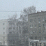 Девять деревьев упали во время метели в Уфе - Комсомольская правда