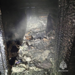 Тело мужчины обнаружили в сгоревшей бане в Кугарчинском районе Башкортостана | ГТРК «Башкортостан»