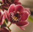 floral-composition-with-elegant-style_23-2147897532 - News102.Ru
