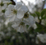 20250503_164317 - News102.Ru