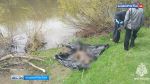 В Башкортостане устанавливают личность мужчины, чье тело извлекли из реки Белой в Белорецком районе | ГТРК «Башкортостан»