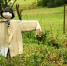 scarecrow-farm_1048944-15046396 - News102.Ru