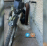 high-res-image (18) - News102.Ru
