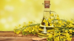 Башкирия отлично кормит Китай