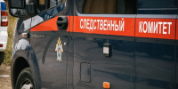 Бастрыкина заинтересовало похищение невесты в Башкирии - Mkset.Ru