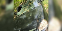 В Абзелиловском районе возбуждено уголовное дело по факту ДТП, в результате которого погибла несовершеннолетняя - Следственный комитет