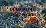 Жителей Башкортостана предупредили о заморозках до -1 | ГТРК «Башкортостан»