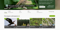 На сайт INaturalist 103 наблюдателями с 1 марта по 31 мая 2025 г. было загружено 5621 наблюдение - Башкирское отделение РГО