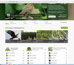 На сайт INaturalist 103 наблюдателями с 1 марта по 31 мая 2025 г. было загружено 5621 наблюдение