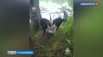 Три человека погибли на воде в Башкортостане за день | ГТРК «Башкортостан»