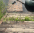 4e604176-416c-4ed0-9aef-9f21b6cffca4 - News102.Ru