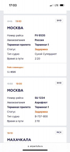 Уфимцы застряли в «Шереметьево»