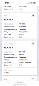 Уфимцы застряли в «Шереметьево»