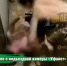 Снимок экрана 2025-07-08 124840 - News102.Ru