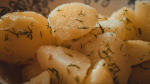 Башкирия может остаться без картошки