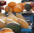 Базовые продукты подорожали в Уфе - Mkset.Ru