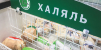 Башкирия отправила 324 тонны халяльного мяса в Африку - Mkset.Ru
