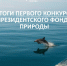 Президентский фонд природы выделит Башкирии средства на пять проектов - Сетевое издание Республика Башкортостан
