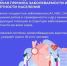 Холестерин, что необходимо знать - Министерство здравоохранения РБ