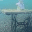 В Башкортостане на озере Кандры-Куль дайверы создали музей под водой | ГТРК «Башкортостан» - ГТРК Башкортостан
