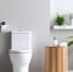унитаз - News102.Ru