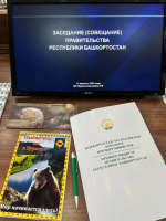 Правительство Башкирии покинуло Уфу