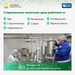 Башкирия может накормить детей России качественным питанием