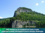 Экопроекты из Башкортостана стали победителями Президентского фонда природы