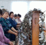 соцсети Забира Габдуллина - Башинформ