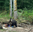2025-08-19 08.53.06 - News102.Ru