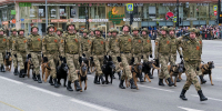 Дни военных, ночь кино и пивной фестиваль: куда сходить в Уфе - Mkset.Ru
